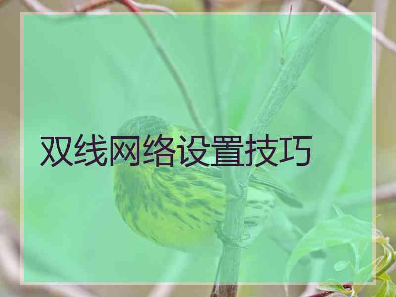 双线网络设置技巧