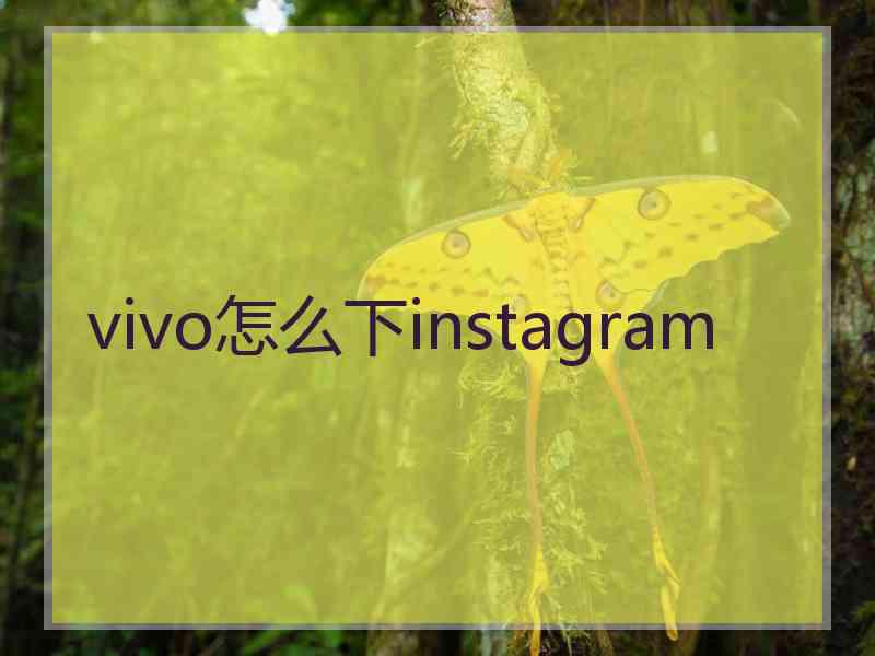 vivo怎么下instagram