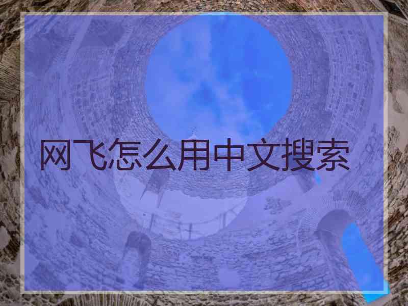 网飞怎么用中文搜索