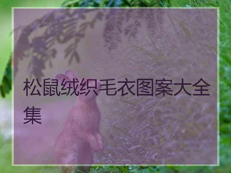 松鼠绒织毛衣图案大全集