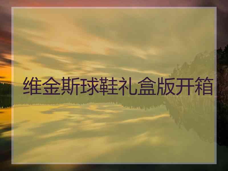 维金斯球鞋礼盒版开箱