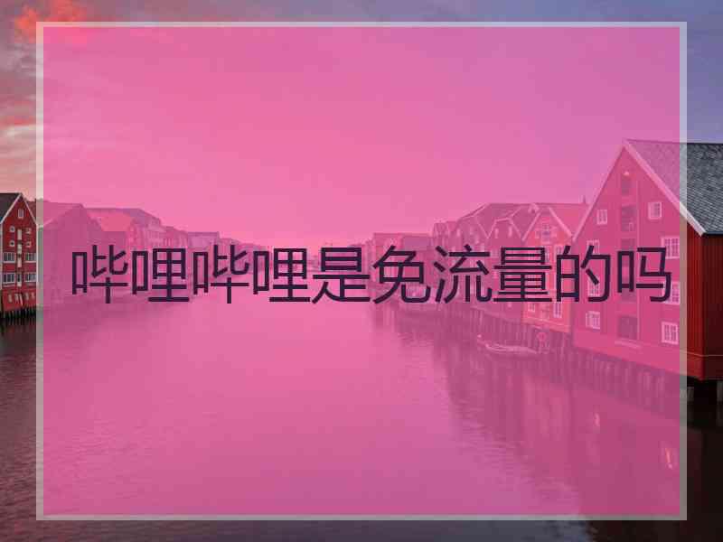 哔哩哔哩是免流量的吗