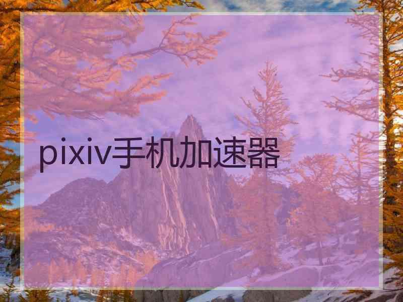 pixiv手机加速器