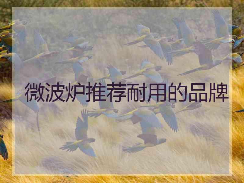 微波炉推荐耐用的品牌