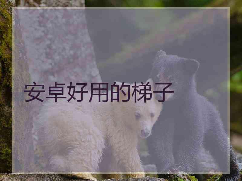 安卓好用的梯子
