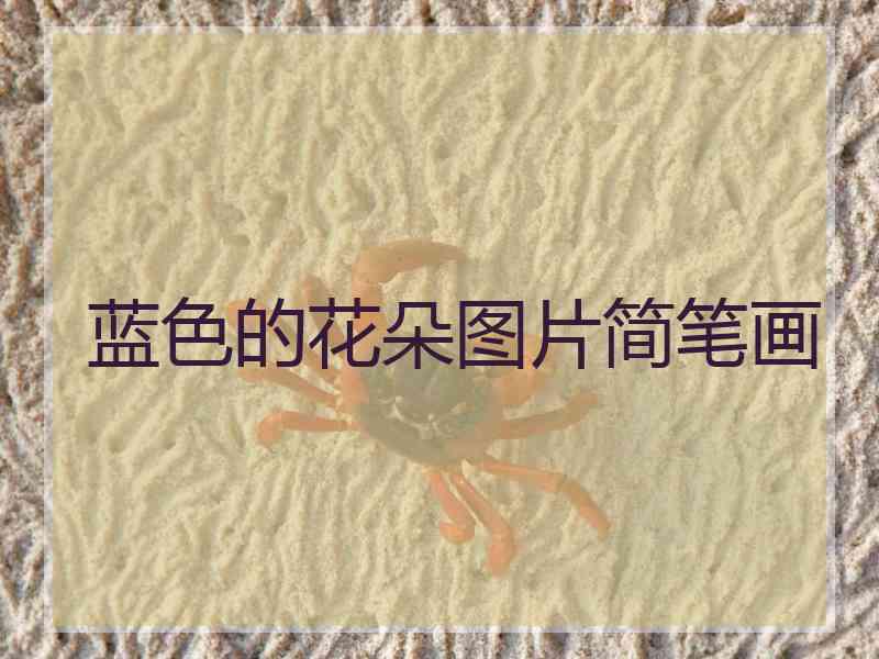 蓝色的花朵图片简笔画