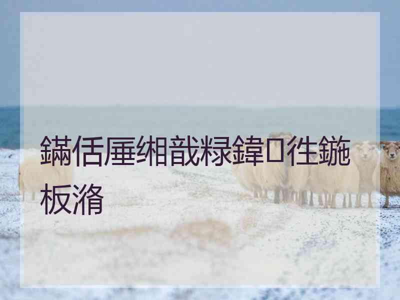 鏋佸厜缃戠粶鍏徃鍦板潃