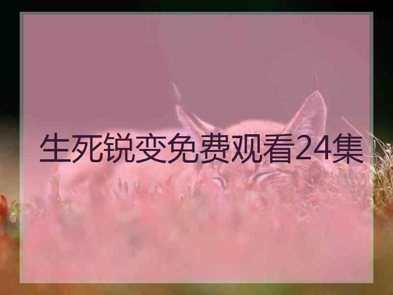 生死锐变免费观看24集