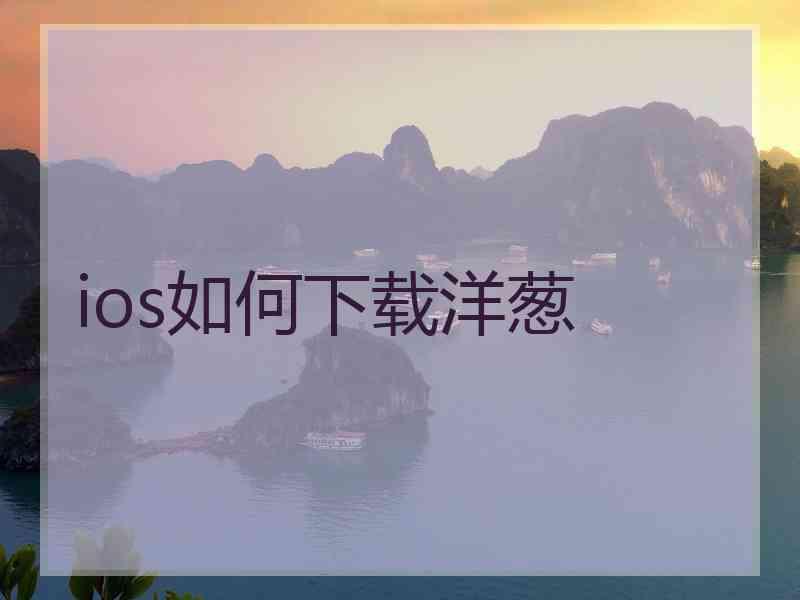 ios如何下载洋葱