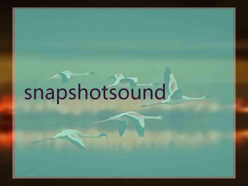 snapshotsound