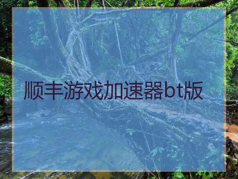 顺丰游戏加速器bt版