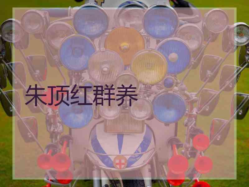 朱顶红群养