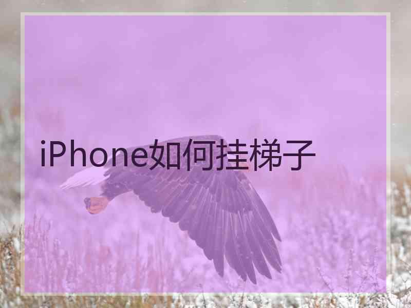 iPhone如何挂梯子