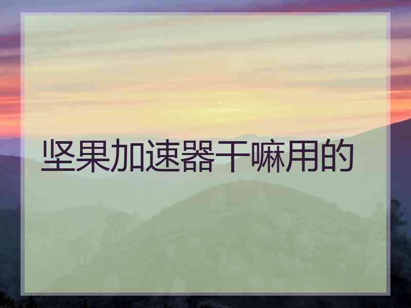 坚果加速器干嘛用的