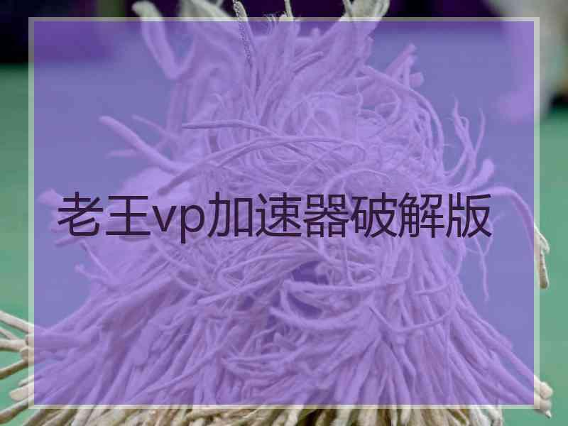 老王vp加速器破解版